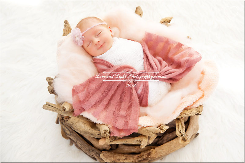 Sunshine Coast Newborn Photographer