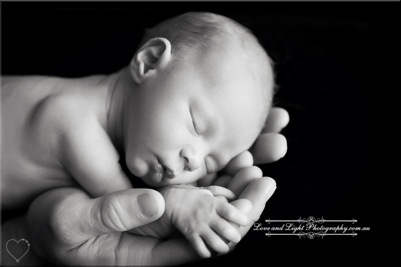 Sunshine Coast Newborn Photographer