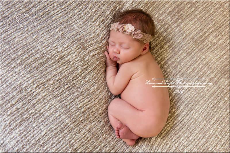 Sunshine Coast Newborn Photographer