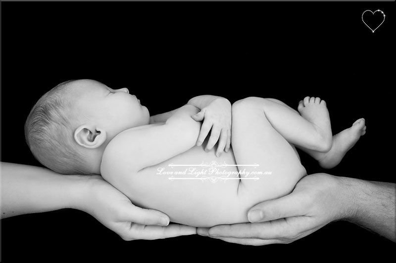 Sunshine Coast Newborn Photographer