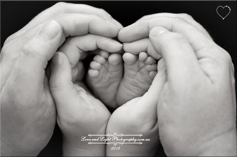 Sunshine Coast Newborn Photographer