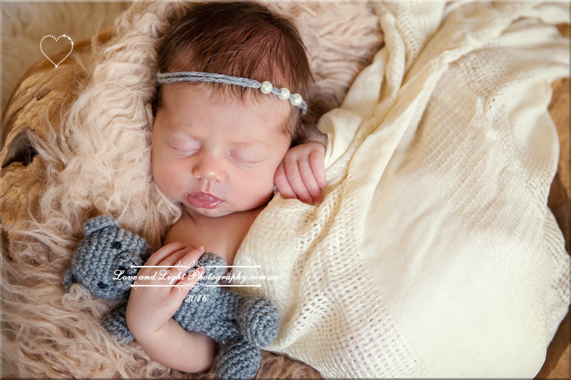 Sunshine Coast Newborn Photographer