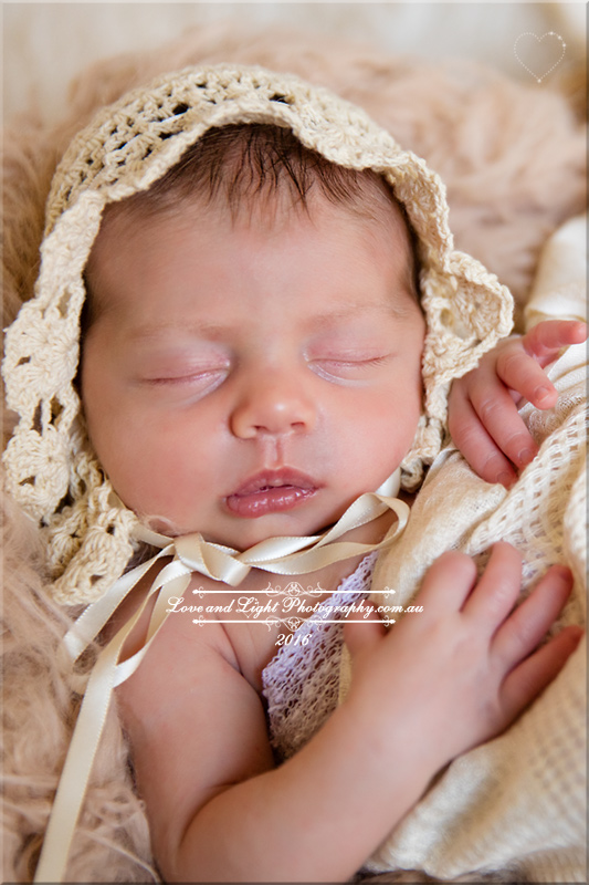 Sunshine Coast Newborn Photographer