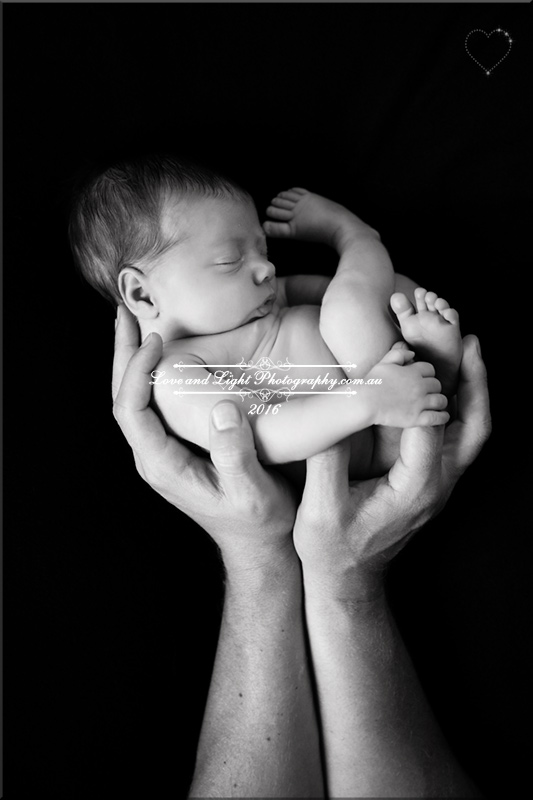 Sunshine Coast Newborn Photographer