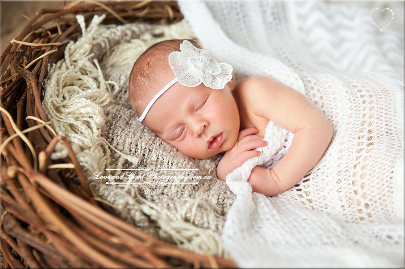 Sunshine Coast Newborn Photographer