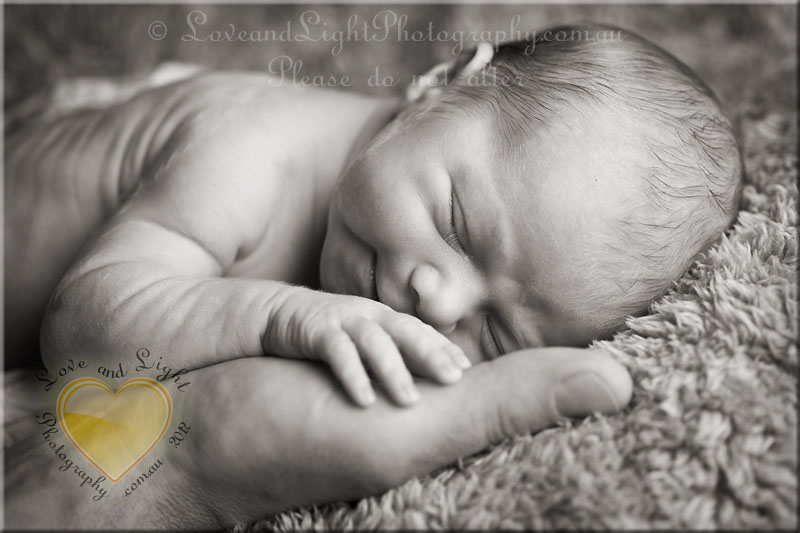 Sunshine Coast Newborn Photographer