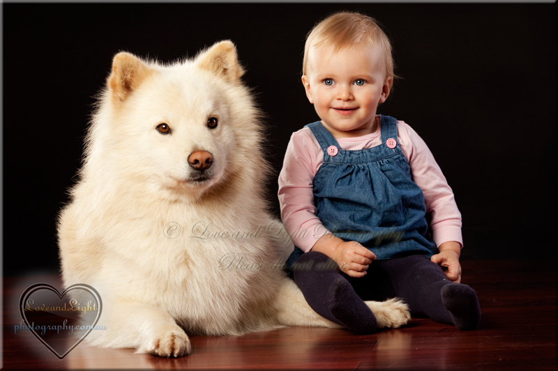 Sunshine Coast Pet Photography