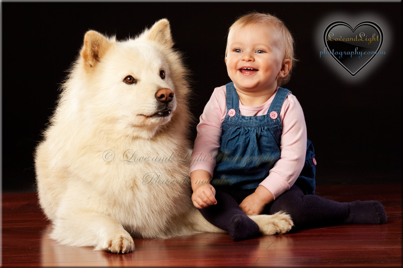 Sunshine Coast Pet Photography