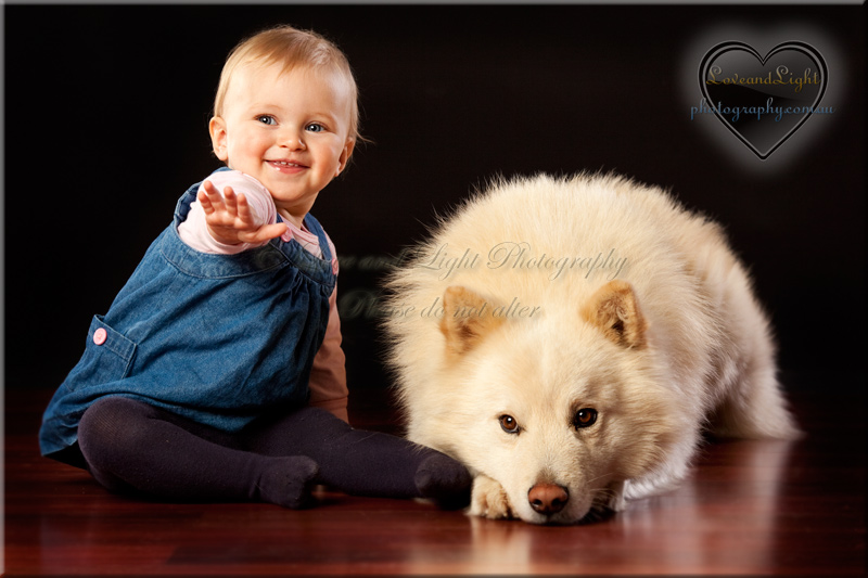 Sunshine Coast Pet Photography