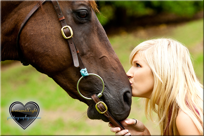 Sunshine Coast Pet Photography